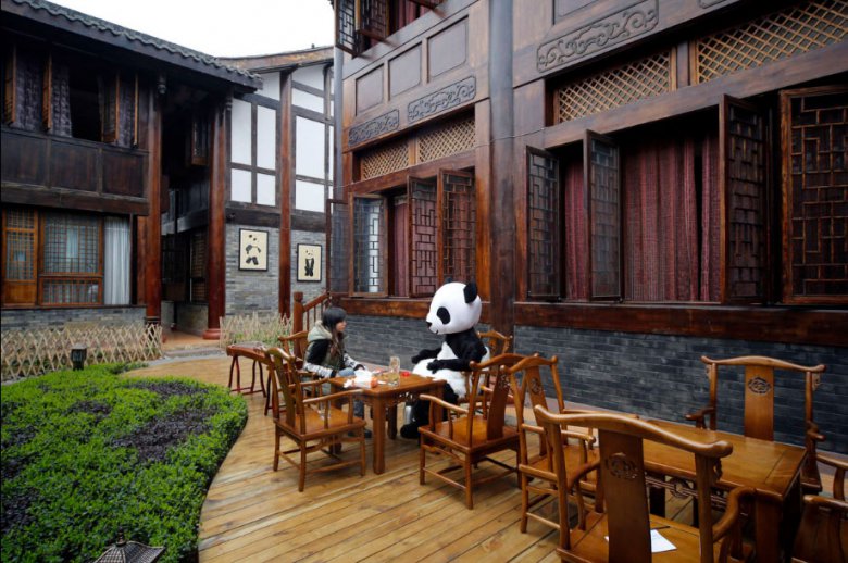 В Китае откроется первый в мире тематический панда-отель