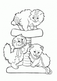 Раскраска для детей: три котенка