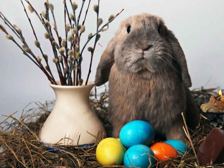 Пасхальные традиции: пасхальный кролик