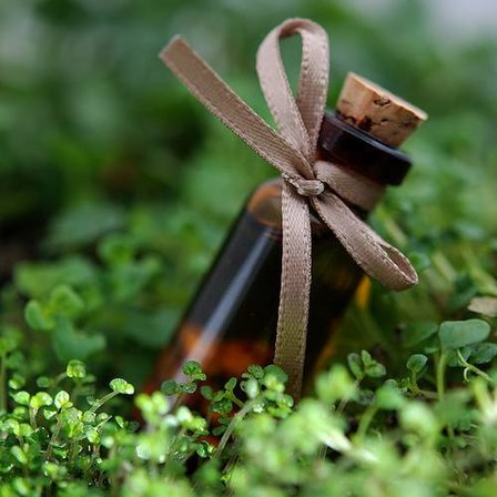 Эфирные масла для красоты и здоровья: ароматы пряных трав