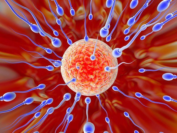 Что будет, если сперму вколоть внутривенно?