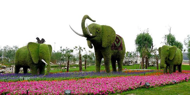 Сад мастеров топиара в Китае
