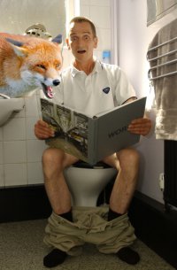 Бойтесь лисиц в туалетах: реальная история из жизни