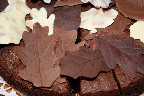 Украшение шоколадом: шоколадные листья