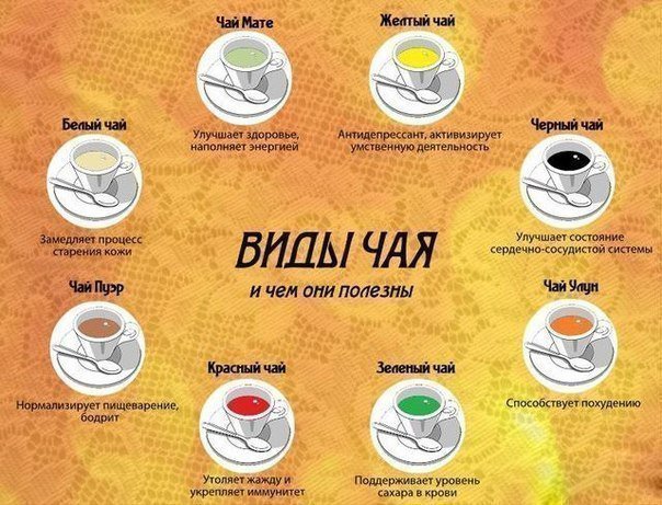 Чем полезны разные виды чая