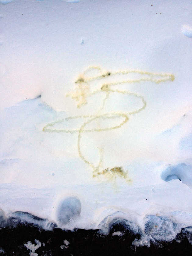 Джастин Бибер и его автографы на снегу