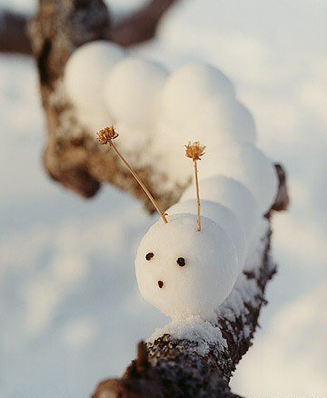 Гусеницы из снега