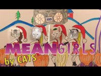 «Дрянные кошки» - пародия на фильм «Дрянные девчонки»