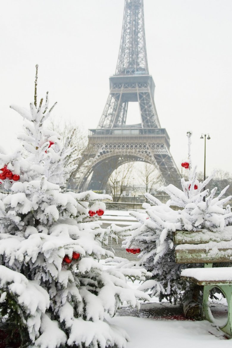 Что посмотреть в Париже зимой