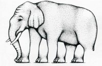 Невозможный слон Роджера Шепарда