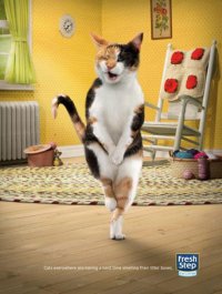 Смешная реклама: наполнитель для кошачьего лотка