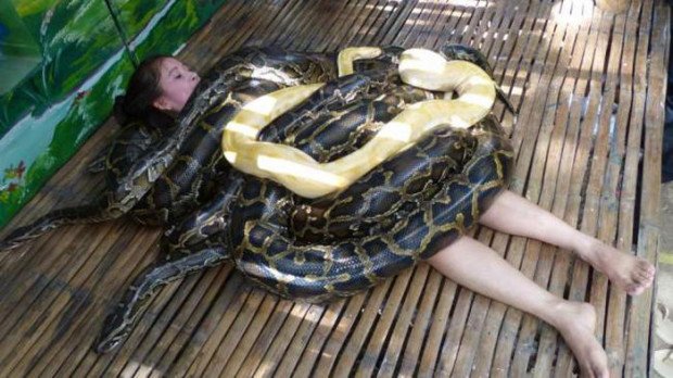 На Филиппинах туристам предлагают массаж змеями