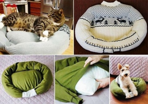 Как придумать подушку для питомца