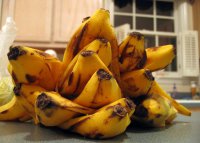 Удобрения из банановой кожуры