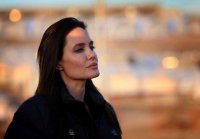 Поступки Анджелины Джоли подверглись критике ученых