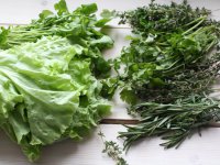 Как хранить зелень в холодильнике
