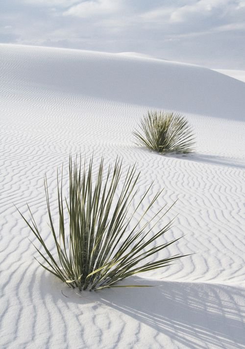 Пустыня Белых песков в Нью-Мексико