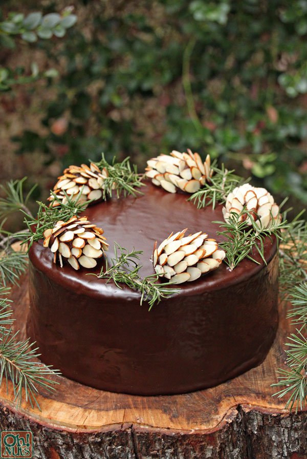 Как украсить торт: шишки из миндаля и шоколада