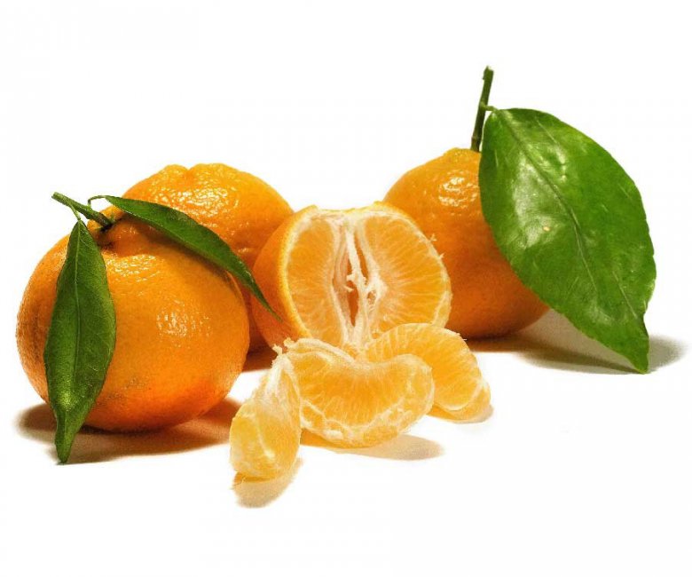 Лечебные свойства кожуры и листьев мандаринов
