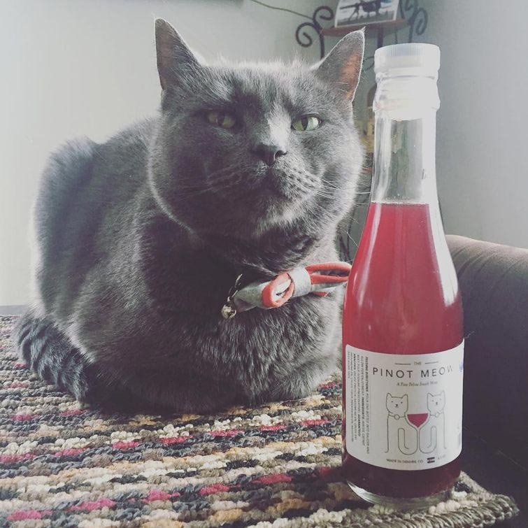 Вино для кошек