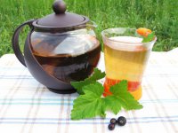 Польза чая из листьев смородины